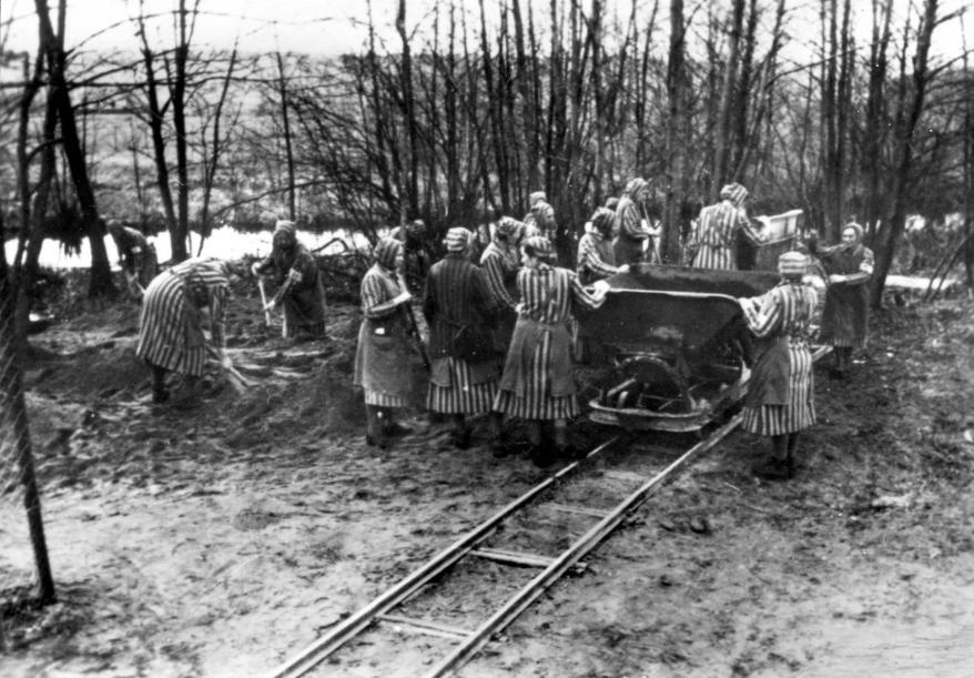 Eine Gruppe von Frauen arbeitet in einem Wald. Sie tragen die Häftlingskleidung des KZs Ravensbrück – gestreifte Kleider und Mützen.  © Wikimedia, Deutsches Bundesarchiv, CC-BY-SA 3.0. 