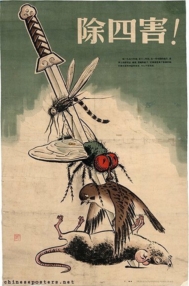 Eine Mücke, eine Fliege, ein Spatz und eine Ratte werden von einem langen Messer durchbohrt.  © Wikimedia