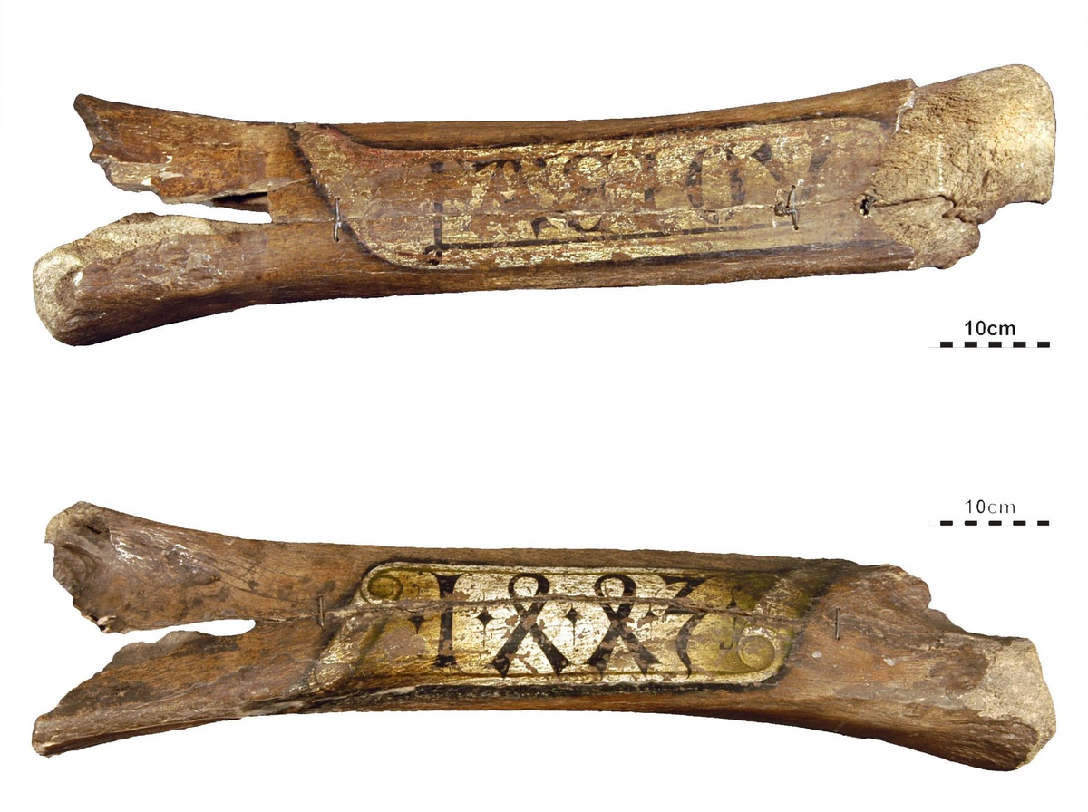 Vor- und Rückseite eines Knochens, in die je eine Schriftrolle mit der Aufschrift „AEIOU“ und „1443“ eingraviert ist. © Geologisches Archiv der Universität Wien