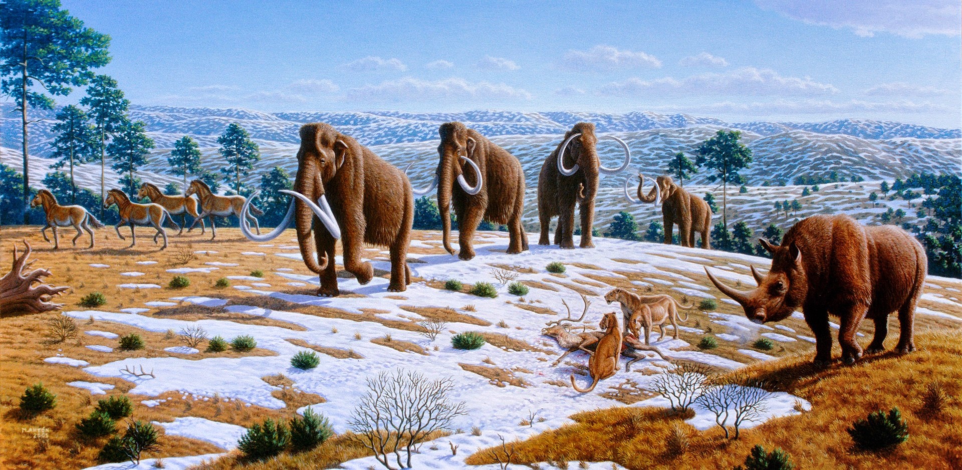 : Gemälde einer hügeligen, leicht mit Schnee bedeckten Landschaft, im Vordergrund vier Mammuts, rechts daneben ein toter Hirsch und zwei Raubkatzen, daneben ein Wollnashorn. Am linken Bildrand vier Urpferde.  © Wikimedia