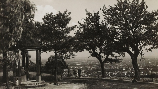 Ein Pavillon, Bäume und zwei Menschen auf einer Aussichtsplattform mit Blick auf die dahinterliegende Stadt Wien.  © Wien Museum
