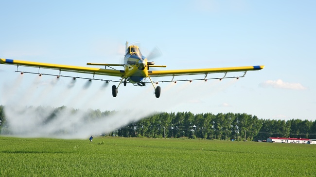 Ein gelbes Flugzeug fliegt knapp über ein Feld. Aus einer Düsenkonstruktion an den Flügeln tritt ein Sprühnebel aus und legt sich über das Feld. Weit hinten im Feld duckt sich gerade eine Person, weil sie mitten in dem Sprühnebel steht. © Pixabay