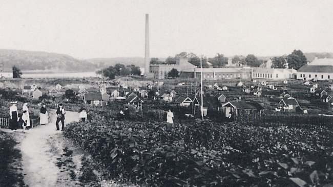 Stadtgarten in Barnaengen © https://commons.wikimedia.org/wiki/File:Barn%C3%A4ngen_1915.jpg 