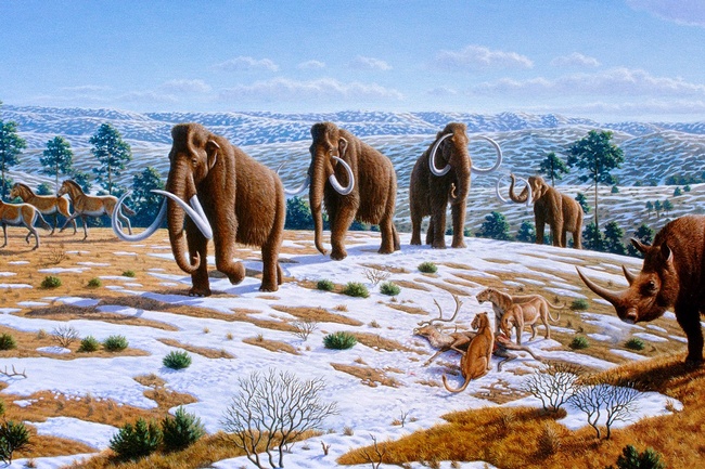 : Gemälde einer hügeligen, leicht mit Schnee bedeckten Landschaft, im Vordergrund vier Mammuts, rechts daneben ein toter Hirsch und zwei Raubkatzen, daneben ein Wollnashorn. Am linken Bildrand vier Urpferde.  © Wikimedia